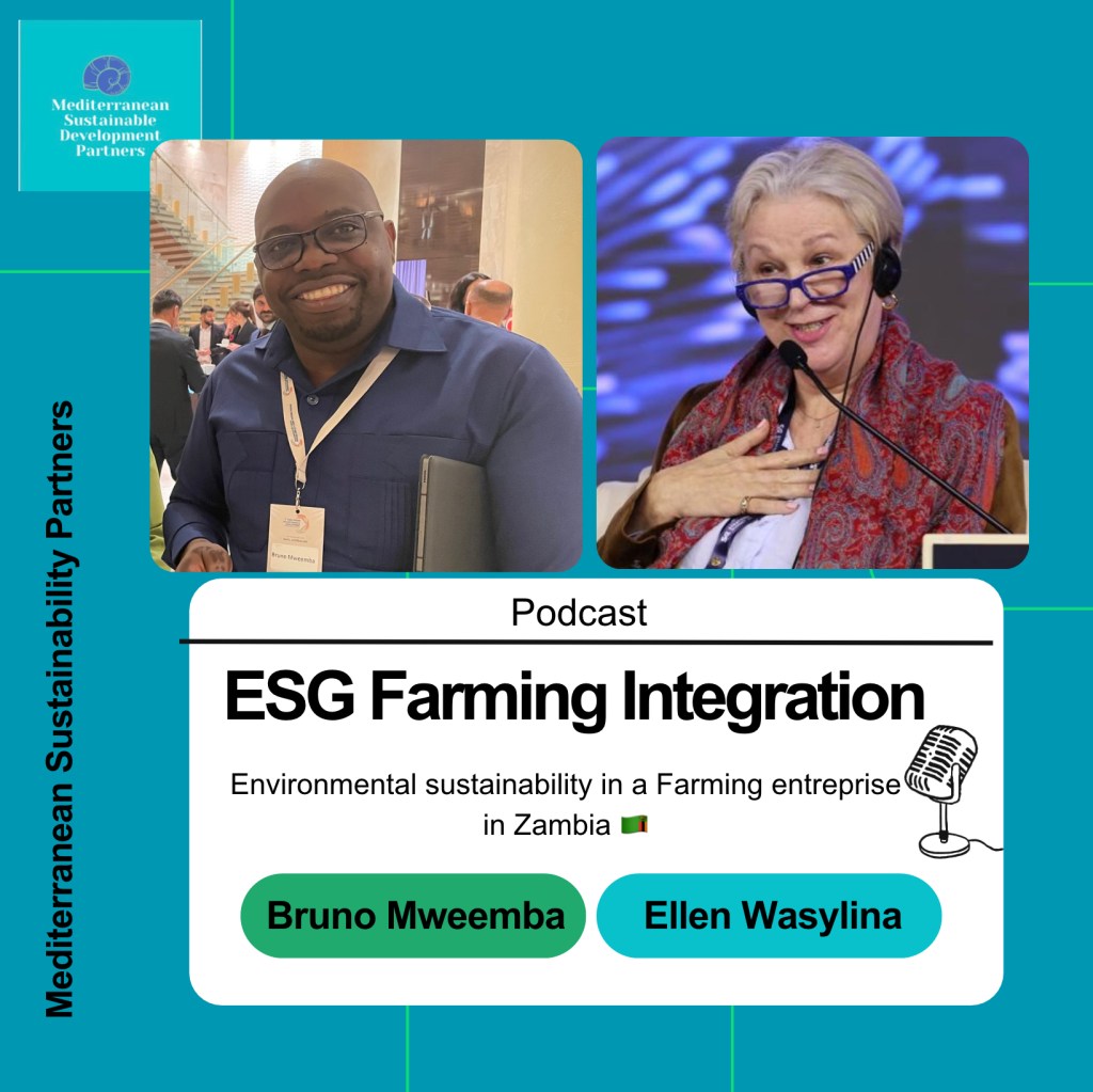 Welcome to Season 4 of the podcast&nbsp;!