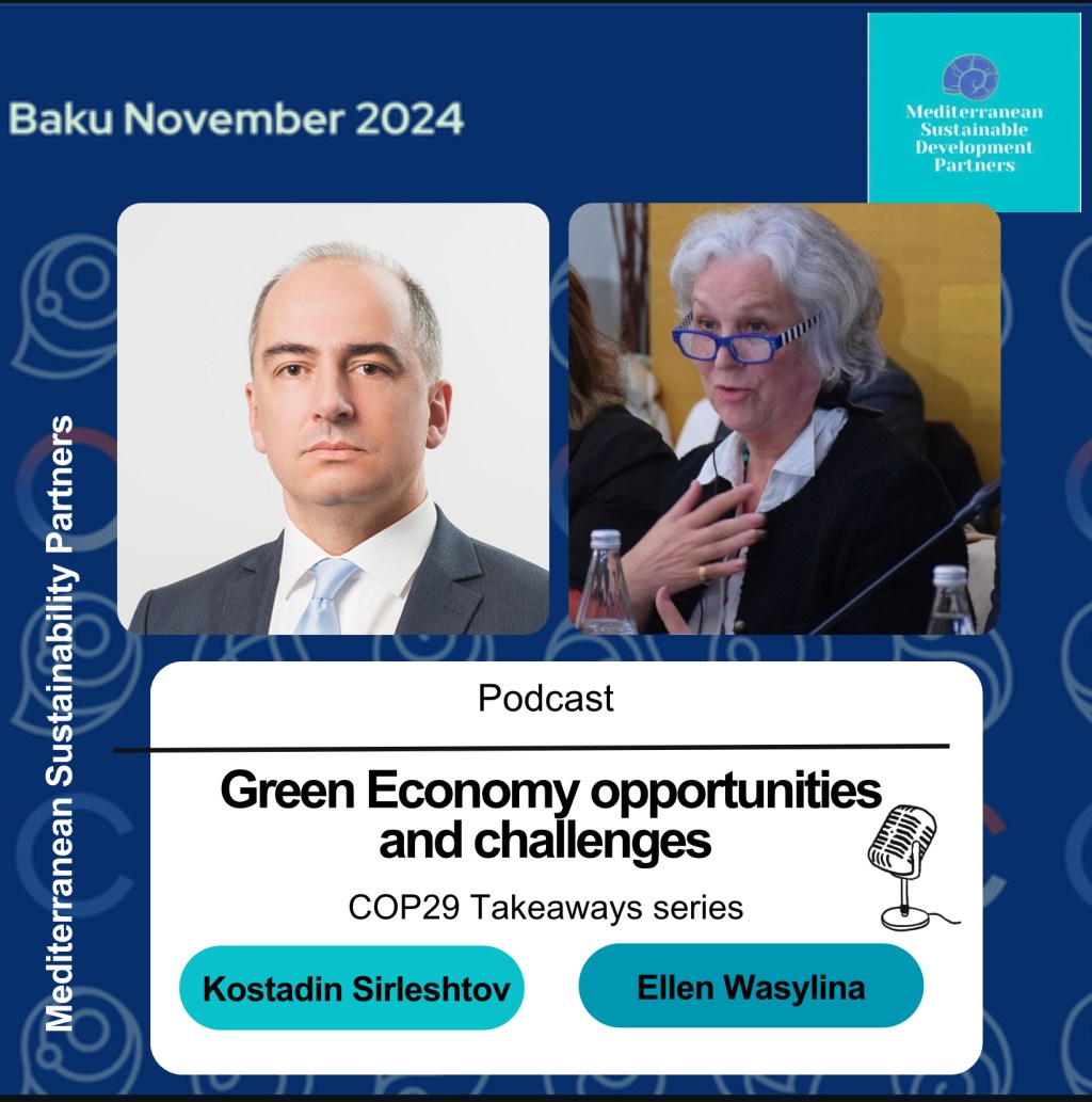 COP29 Takeaway series&nbsp;2