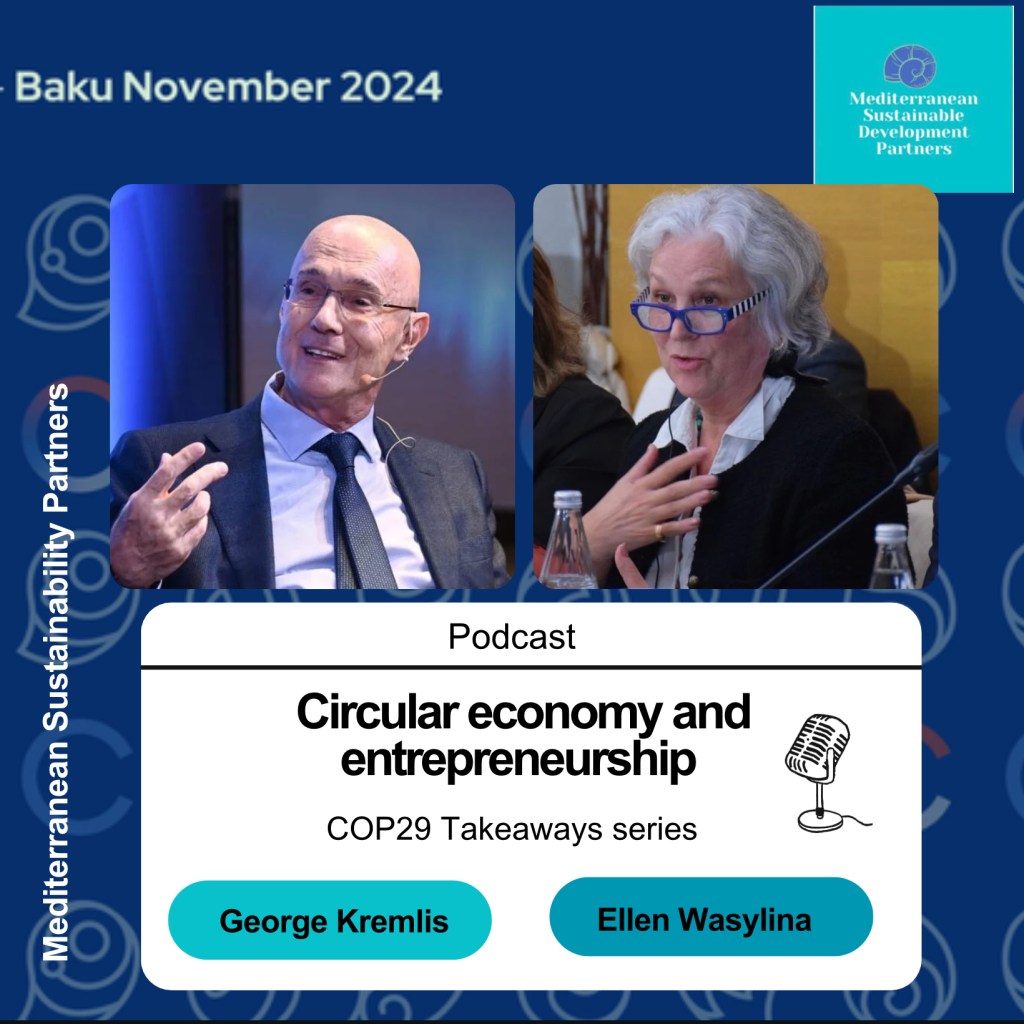 COP29 Takeaways series&nbsp;1