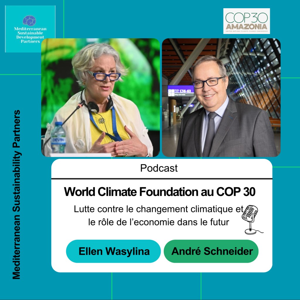 Vers la COP30 : le positionnement du rôle de l’économie dans le&nbsp;futur