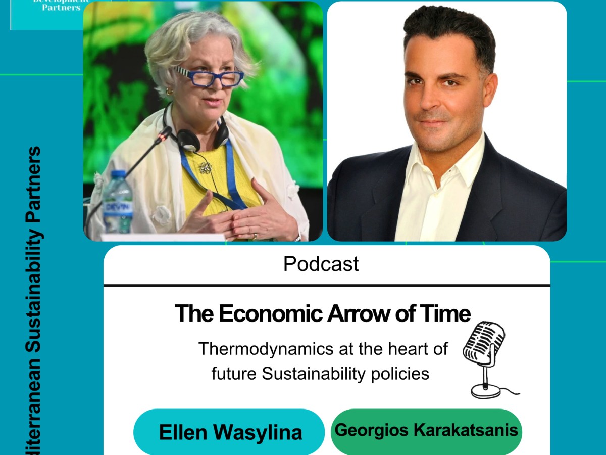 The Economic Arrow of&nbsp;Time