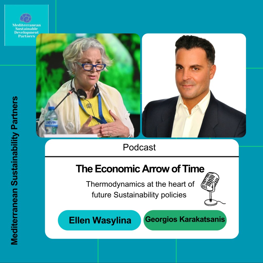 The Economic Arrow of&nbsp;Time